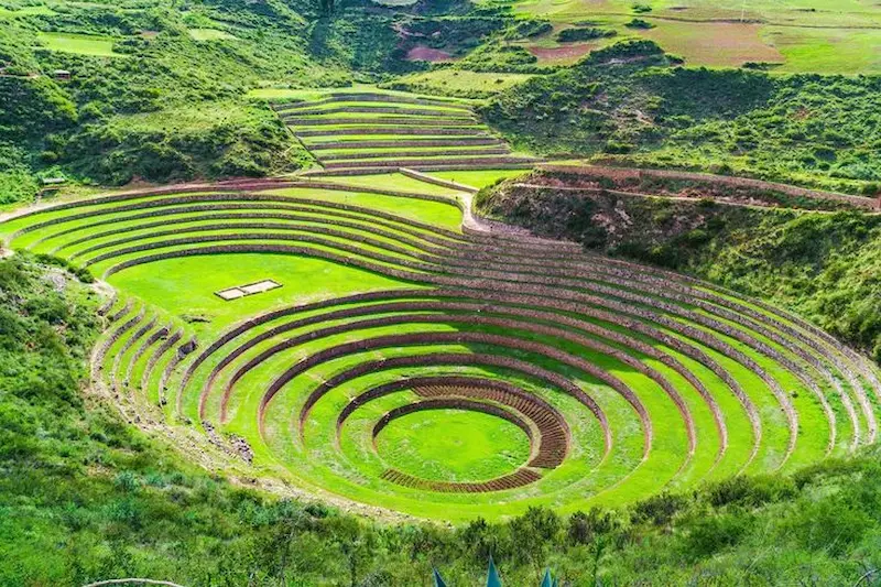 moray