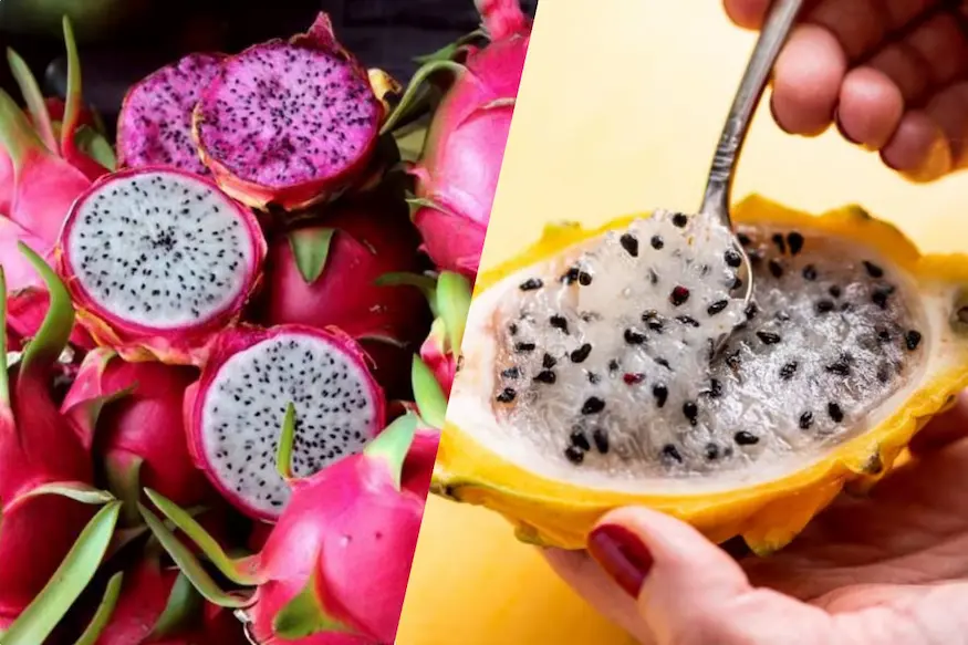 Pitahaya