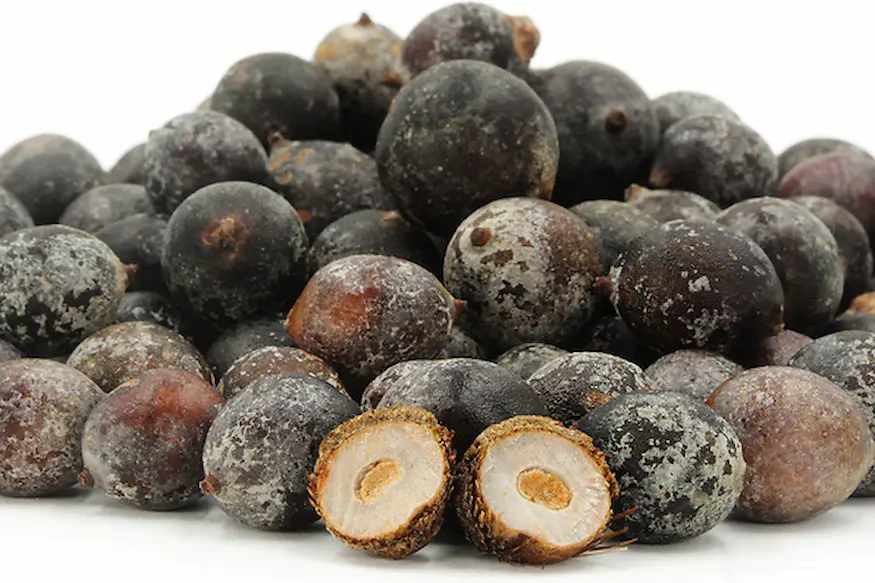 bacaba