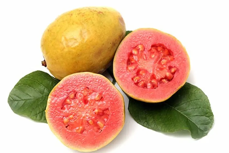 guayaba