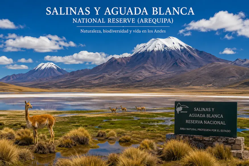 Salinas y Aguada Blanca National Reserve (Arequipa)
