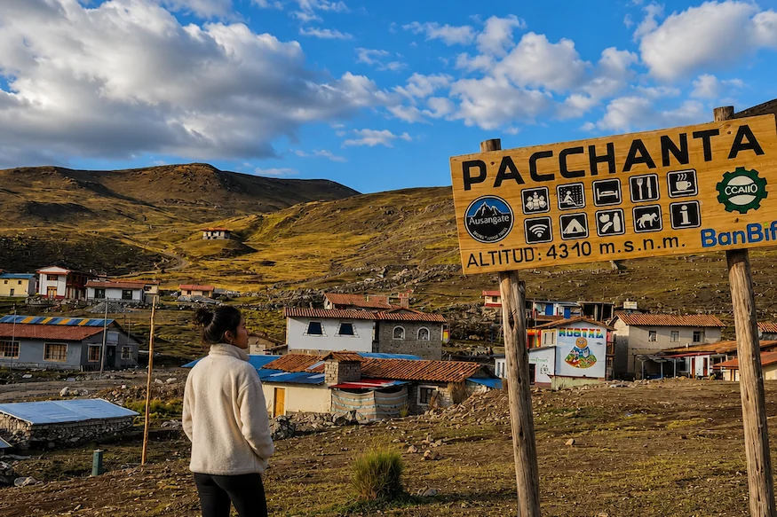 pacchanta