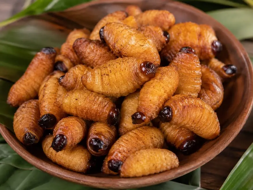 suri frito