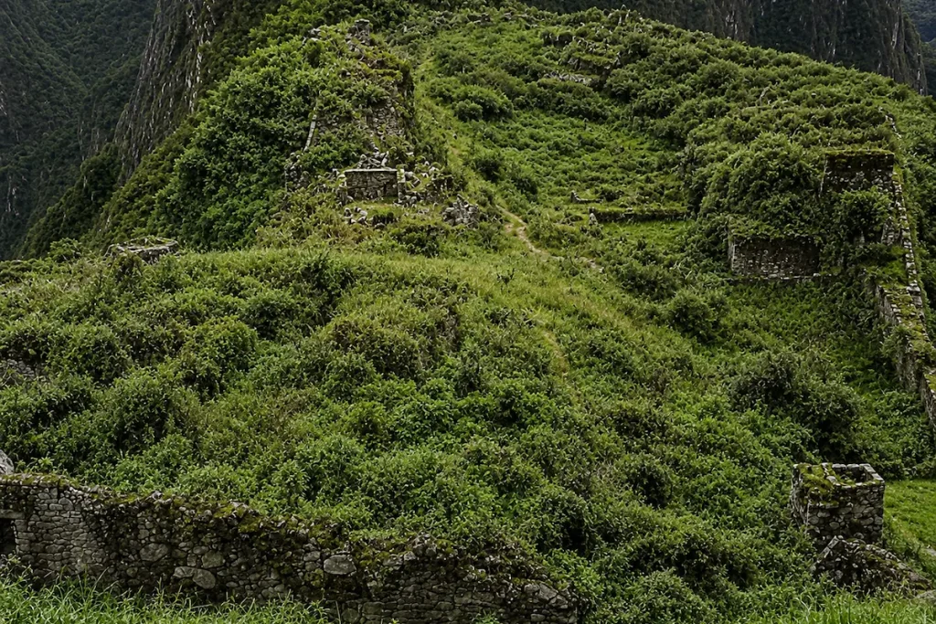 What Color Was Machu Picchu?