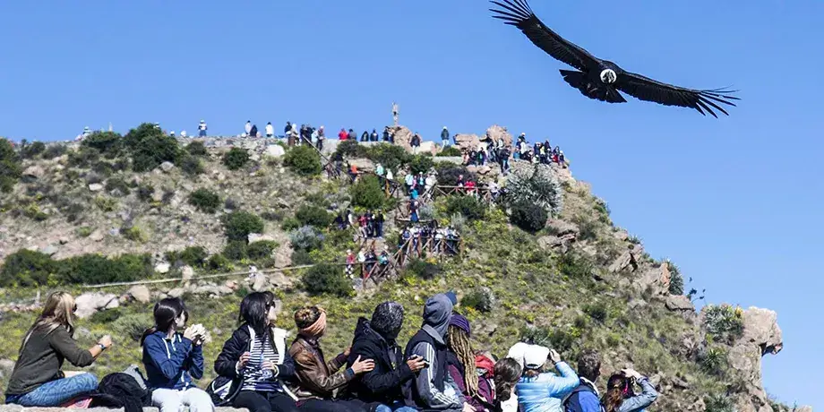 Cañón del Colca