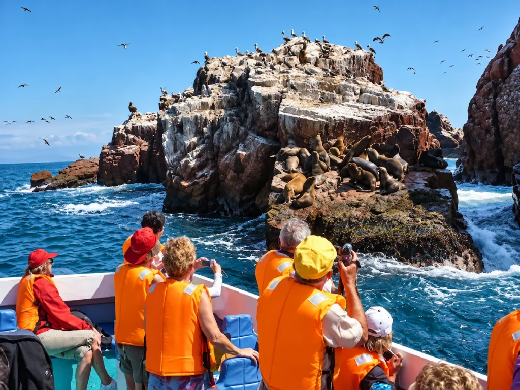 Turistas observando lobos marinos y aves durante un tour a las Islas Ballestas