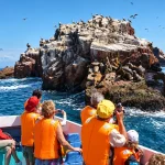Turistas observando lobos marinos y aves durante un tour a las Islas Ballestas