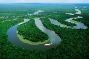 Amazonía